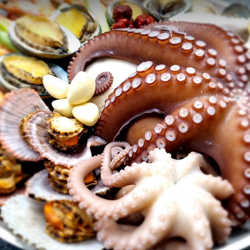 통영 명품 해신탕 해천탕 세트 해산물 밀키트 해물탕 삼계탕 용왕해신탕