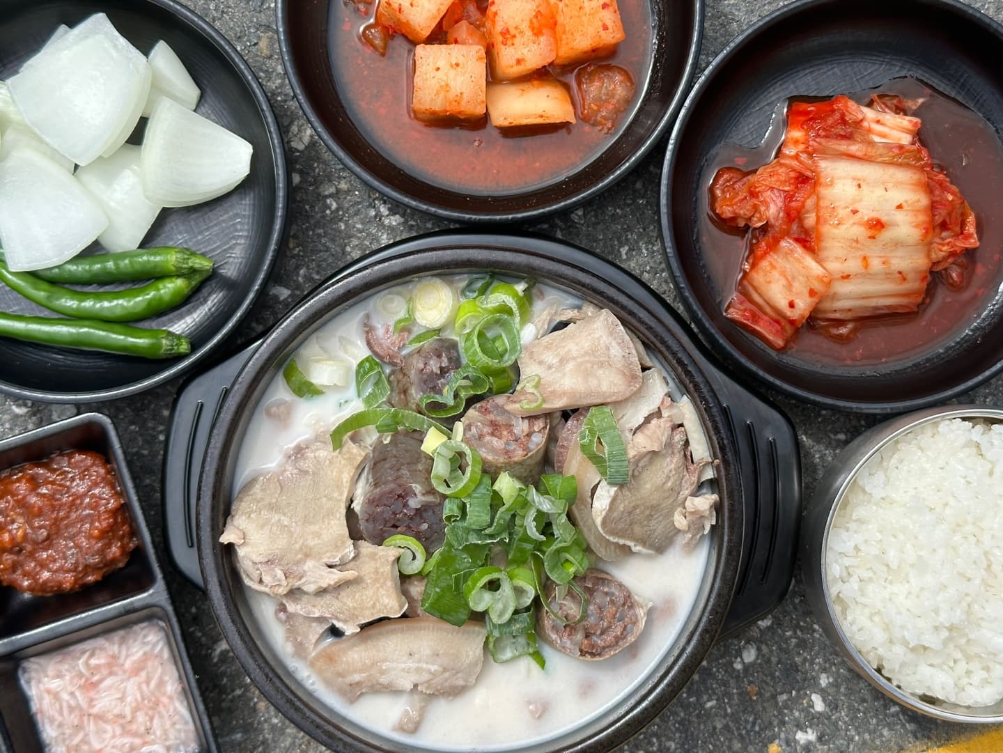 [1kg] 돈우골육수 닭 돈골 사골 농축액 만능육수 추출엑기스 만능베이스 국밥밀키트